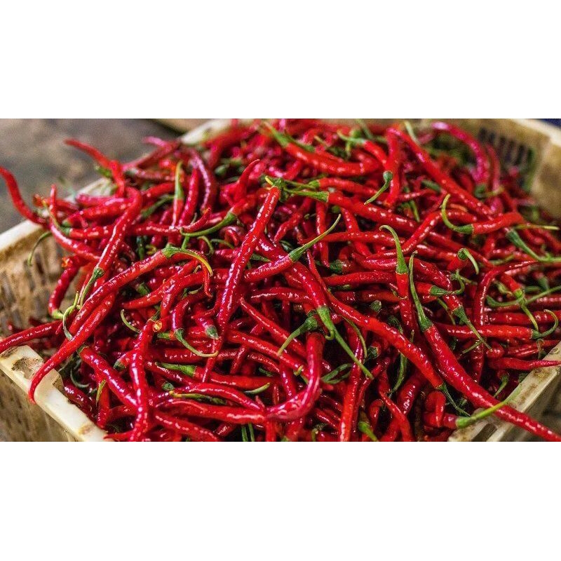 

cabai merah keriting/cabai keriting/cabai pedas