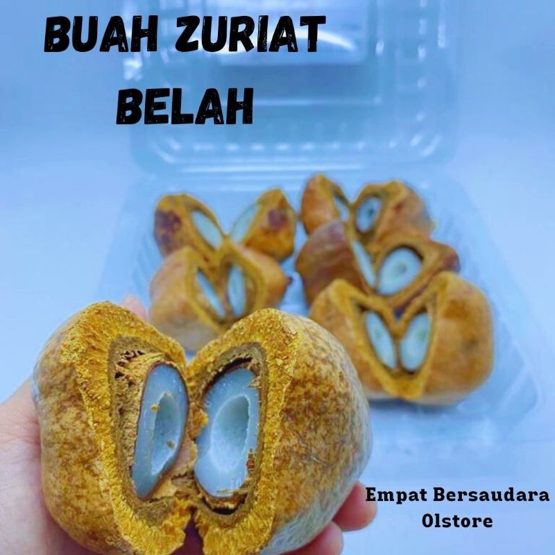 

Buah Zuriat Original / Zuriat Kembar / Zuriat Promil