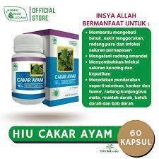 HERBAL KAPSUL CAKAR AYAM HIU