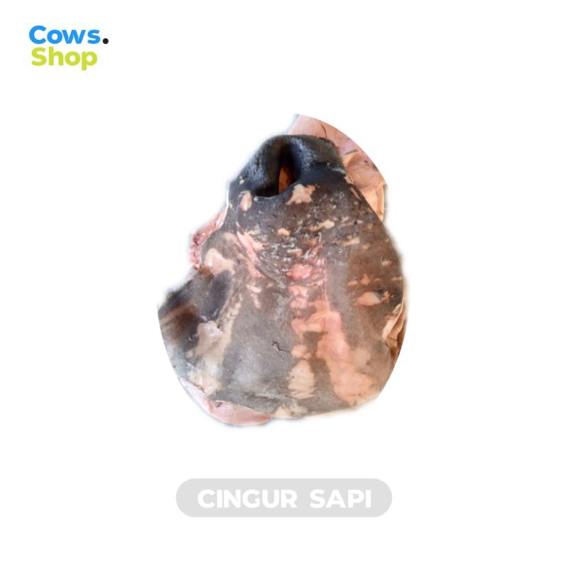 

Cingur Sapi