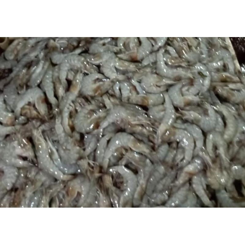 

UDANG VANAME SIZE 50_60 1KG