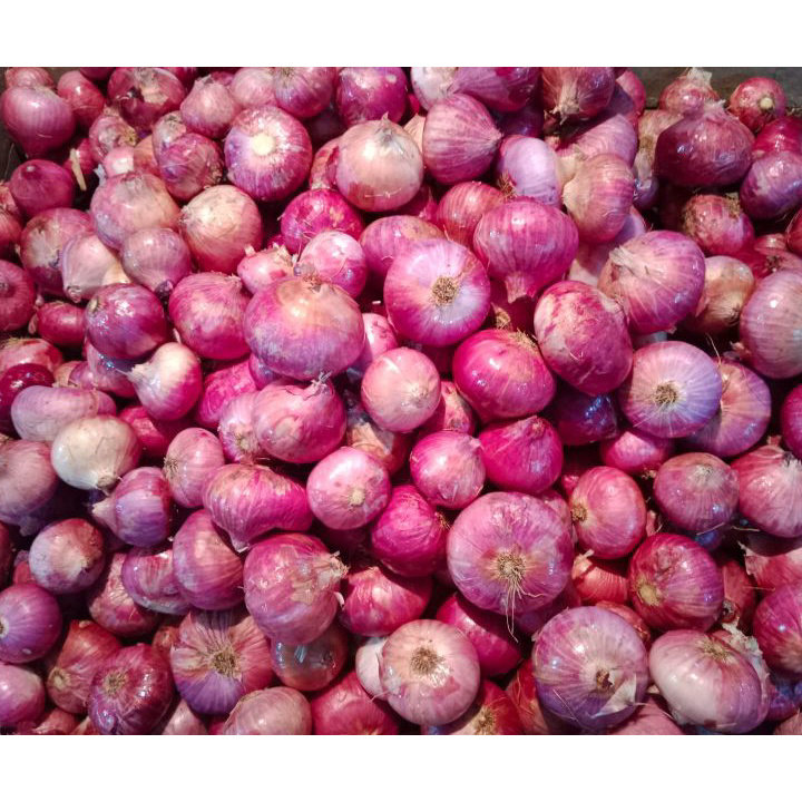 

Dijual BAWANG MERAH PEKING 1KG / BAWANG INDIA 1kg Stock Banyak
