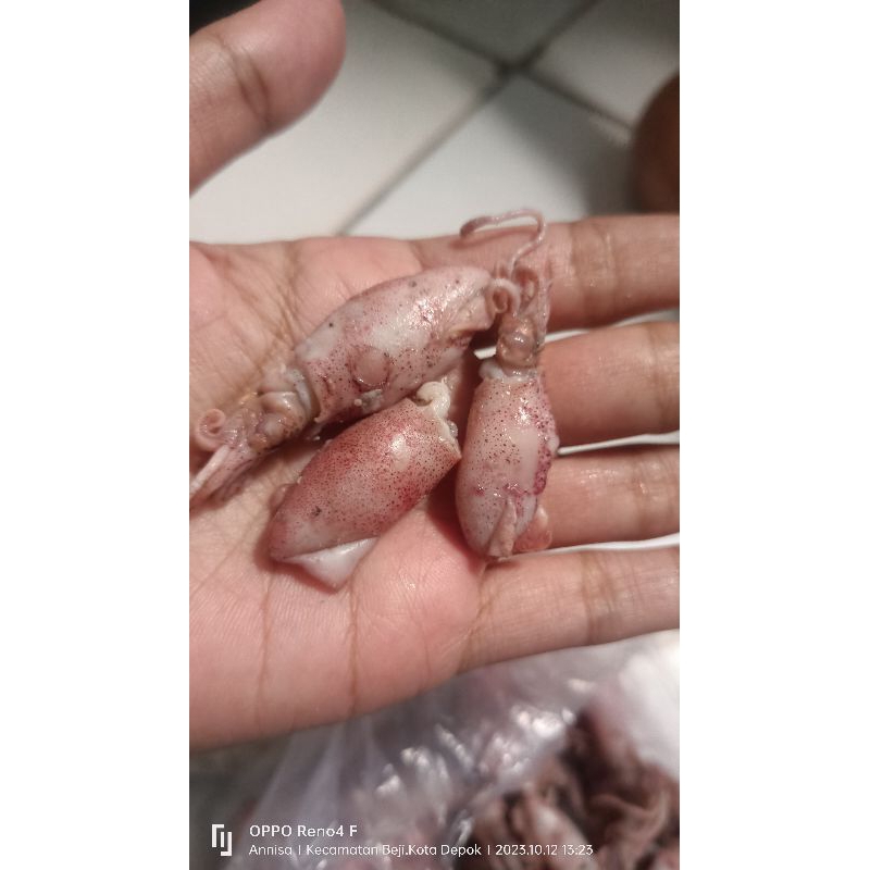 

PROMO BELI 3 GRATIS MANGKOK CANTIK COD BABY CUMI IKAN ASIN MURAH 500gr