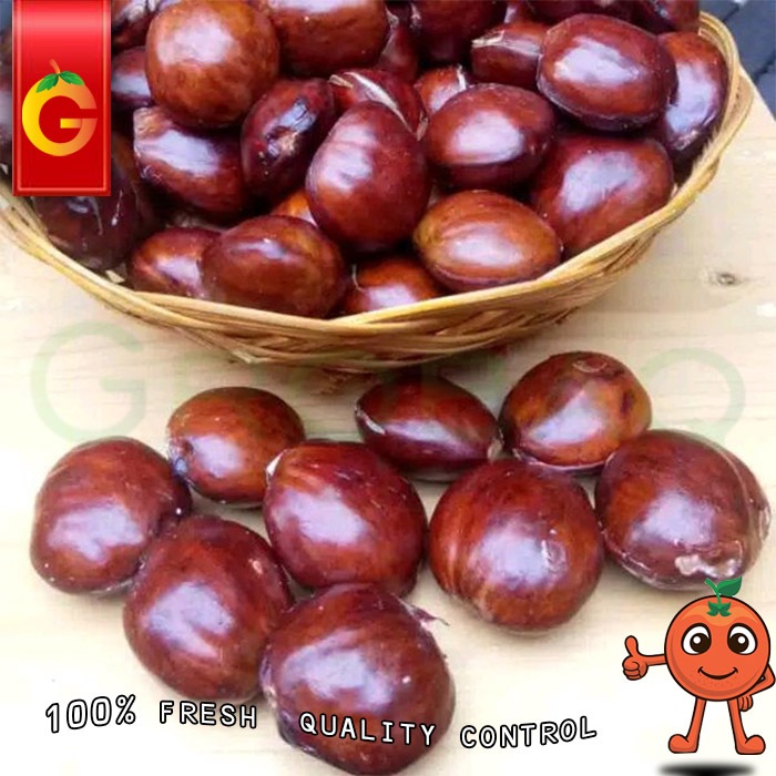 

JENGKOL MENTAH FRESH 250 GRAM