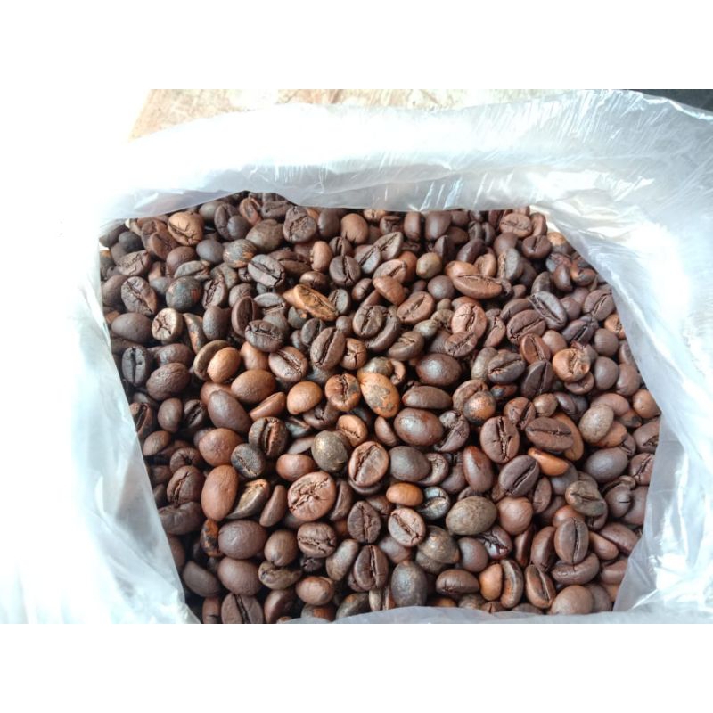

kopi luwak