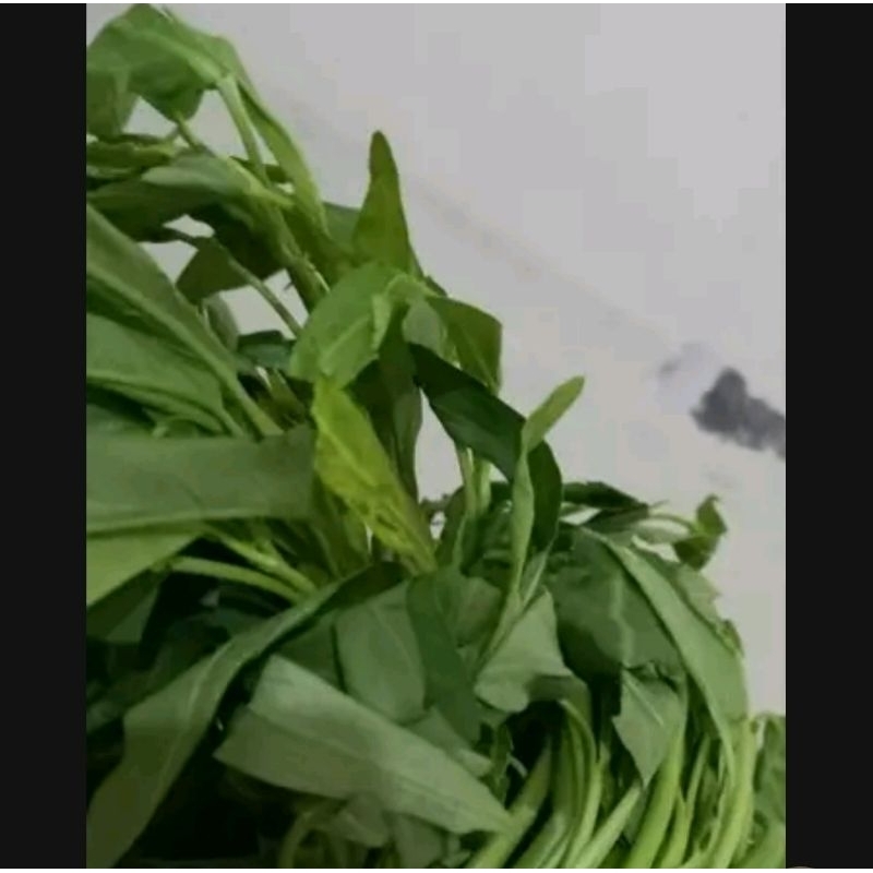 

kangkung ikat
