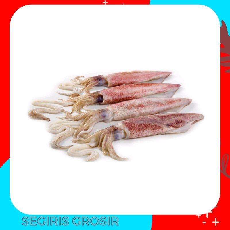 

cumi segar fresh ready pagi