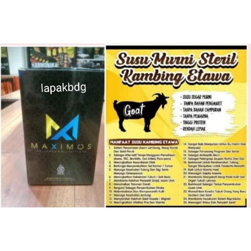 

Maximos Susu Kambing Etawa +collagen & glutatione