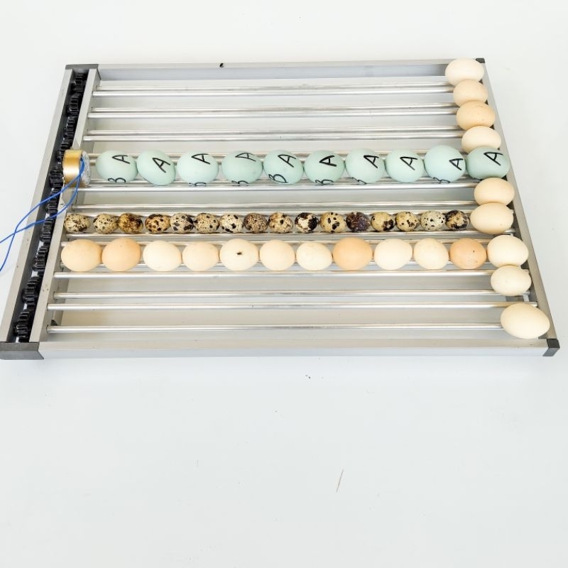 Rak roller mesin tetas kapasitas 100 telur