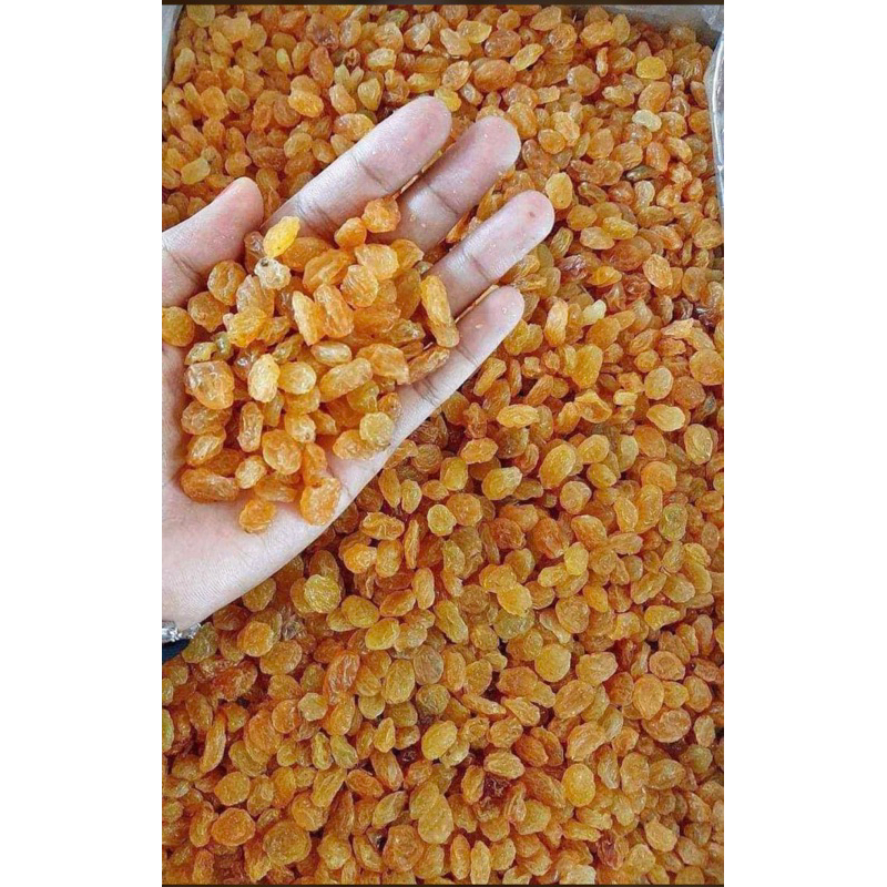

KISMIS GOLDEN RAISIN 1 KG || KISMIS OLEH2 HAJI 1 KG