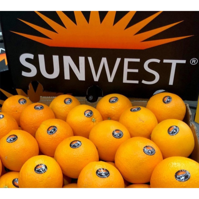

Buah Jeruk Navel Australia Afrika Fresh Import