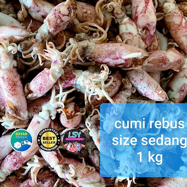 

Promo ikan asin cumi rebus / sotong rebus size sedang 1kg