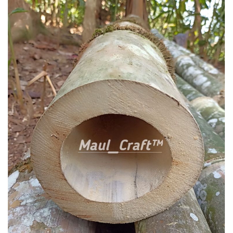 Bambu Petung Bulat Panjang 2 Meter Media Arku Layangan