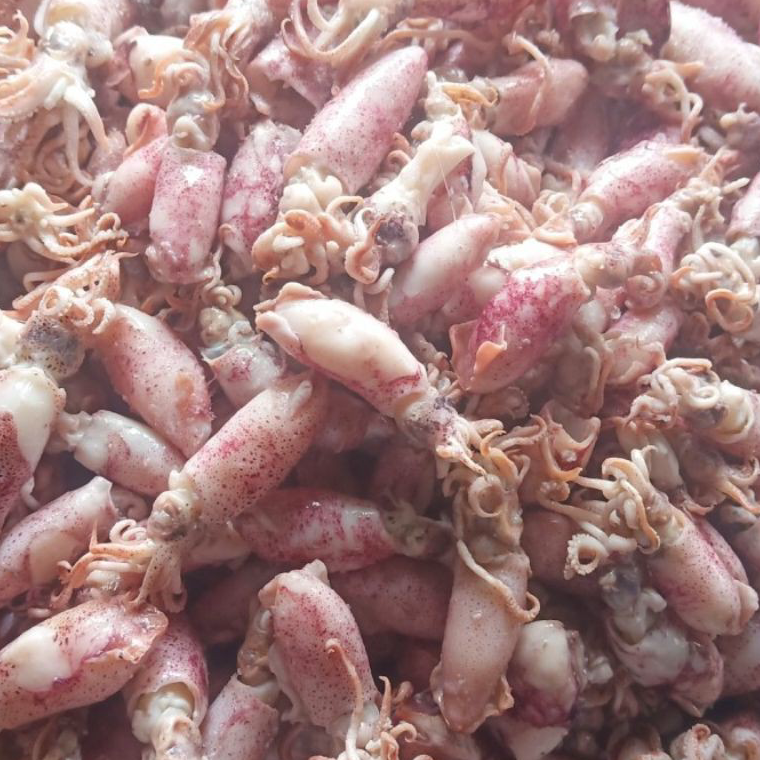 

RYVP9852 Ikan asin cumi Beby 500gr 1sampai 4cm/cumi asin baby /rebus/basa/cumi asin baby