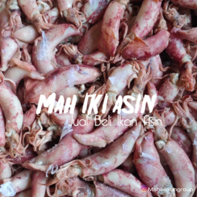 

Ikan Cumi telor 1000g