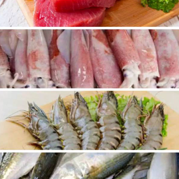 

NFMC3643 Udang / Ikan Tuna / Ikan Kembung Banjar/ Tongkol / Cumi / Cakalang / Selar Kuning