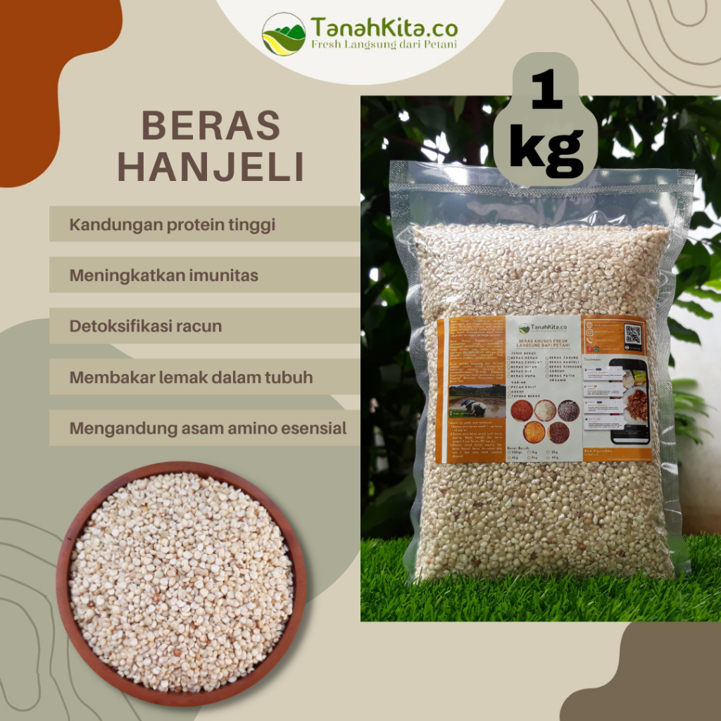 

Beras Hanjeli FRESH langsung dari Petani (1kg vacuum) I Jali Jali I Natural Pearl Barley