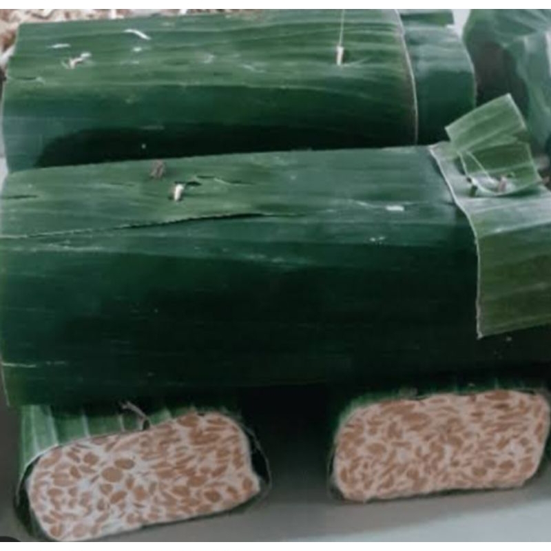 

TEMPE DAUN