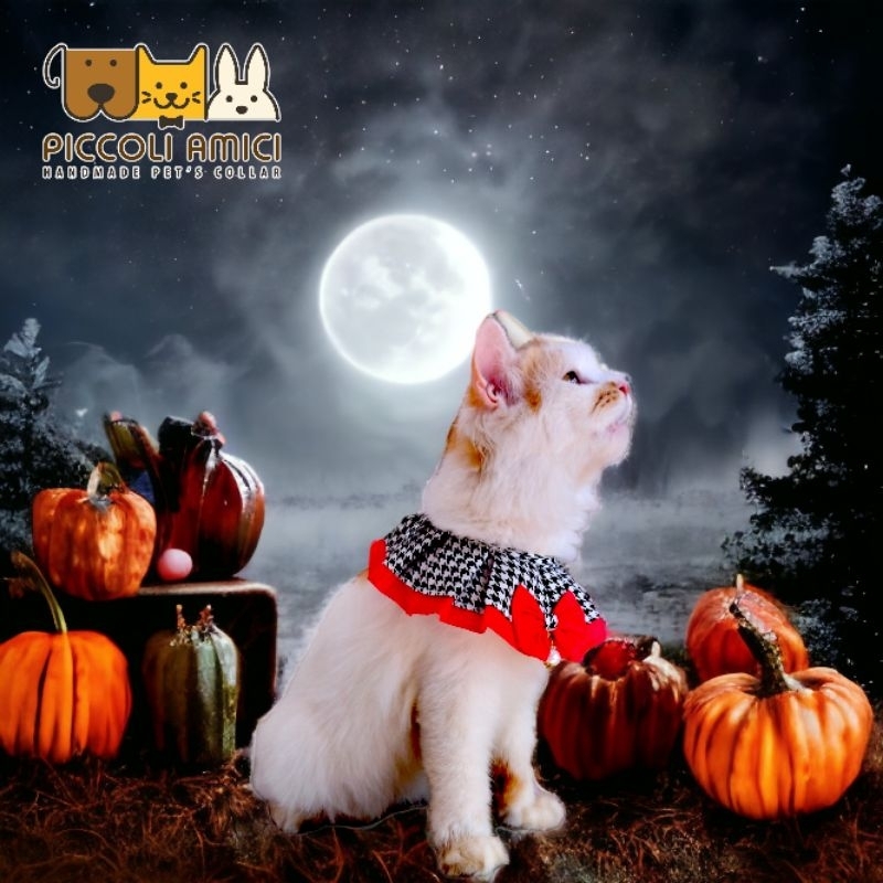 PET'S COLLAR / BIB / DOG / CAT / RABBIT / GIANT DOG