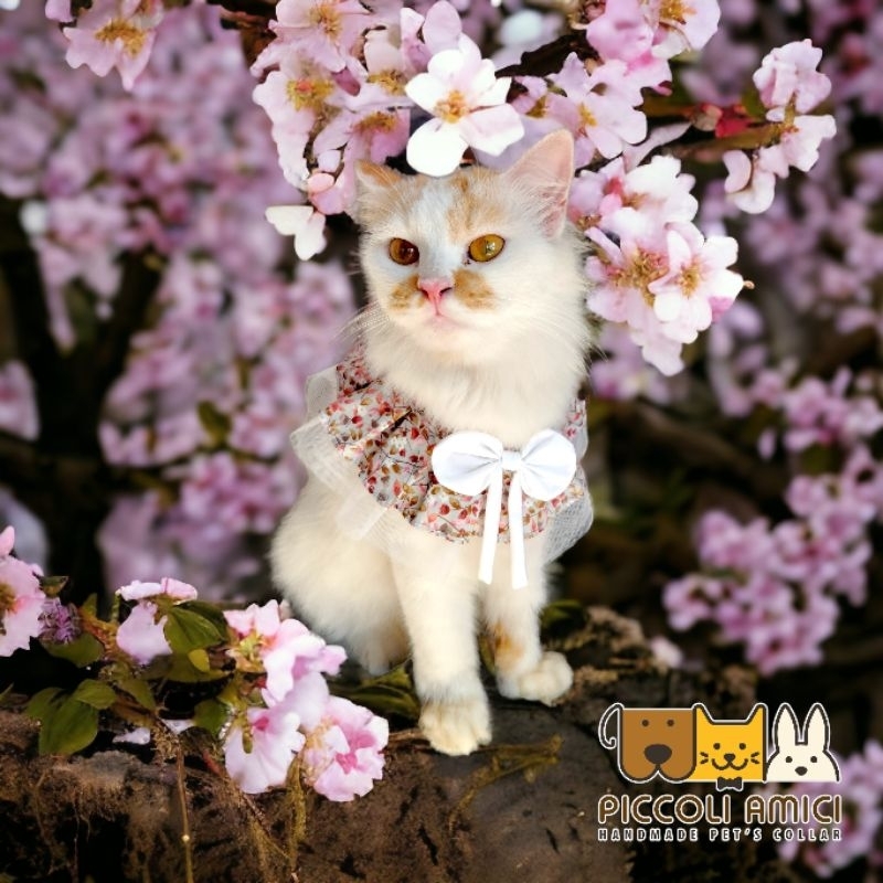 PET'S COLLAR / BIB / DOG / CAT / RABBIT / GIANT DOG