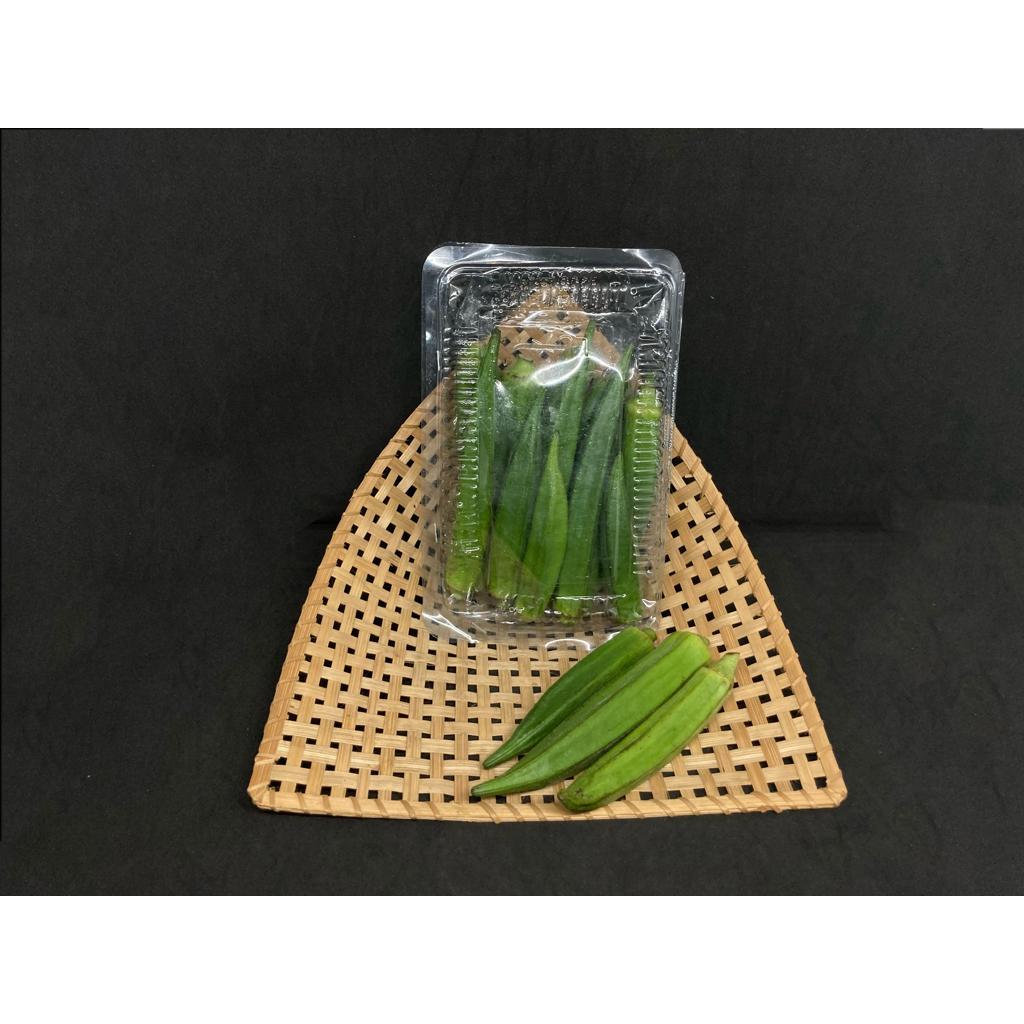 Sayur okra segar, okra fresh, sayur okra