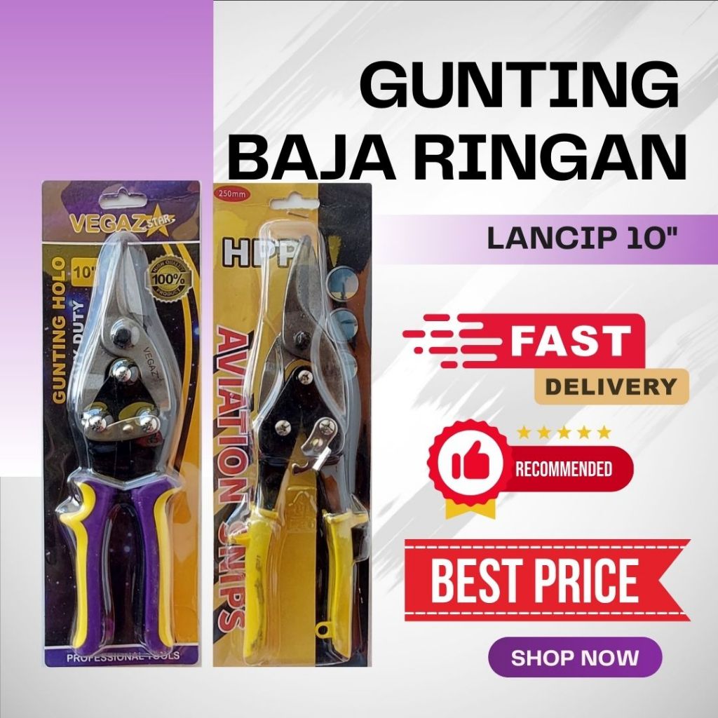 Gunting Seng Lancip HPP Gunting Holo 10" Gunting Hollow Gunting Aircraft Gunting Baja Ringan - MANAD