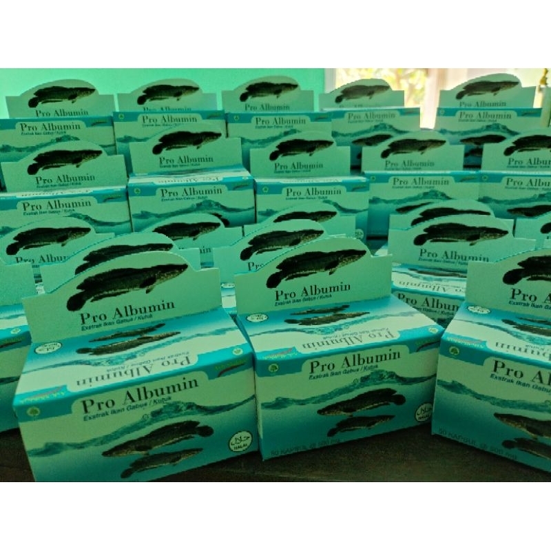 PRO ALBUMIN ORI | CHANAFIT | PRO ALBUMIN ORIGINAL| ORIGINAL PREMIUM  PRO ALBUMIN EKSTRAK IKAN GABUS