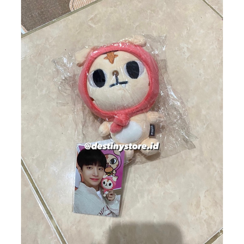 ccrew doll cravity set || character doll ko jungmo + pc photocard