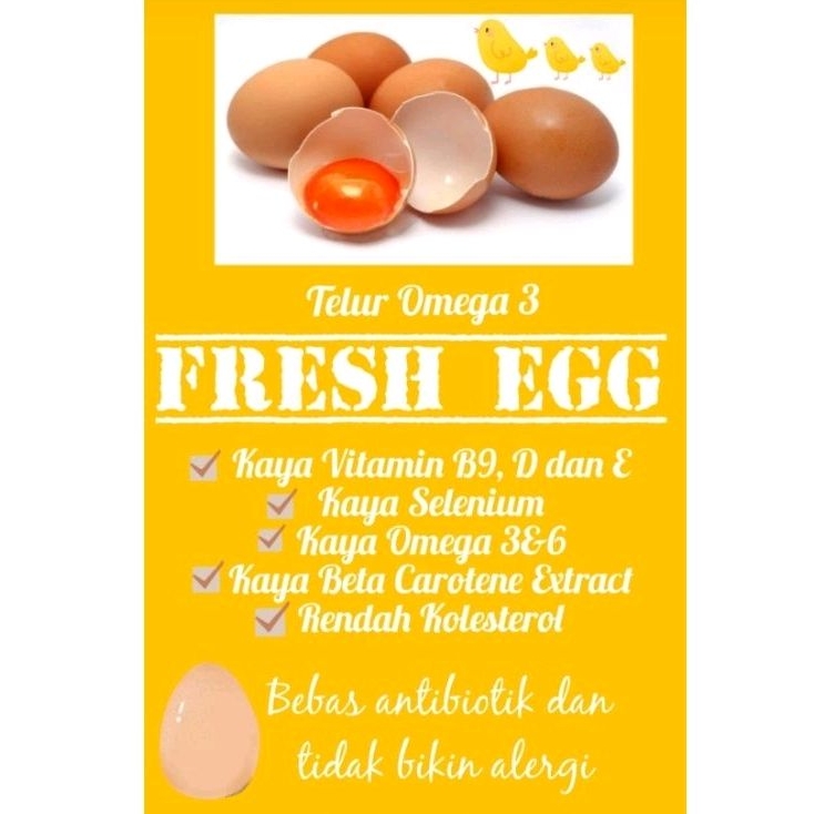 

Telur Omega 3 Rendah Kolesterol