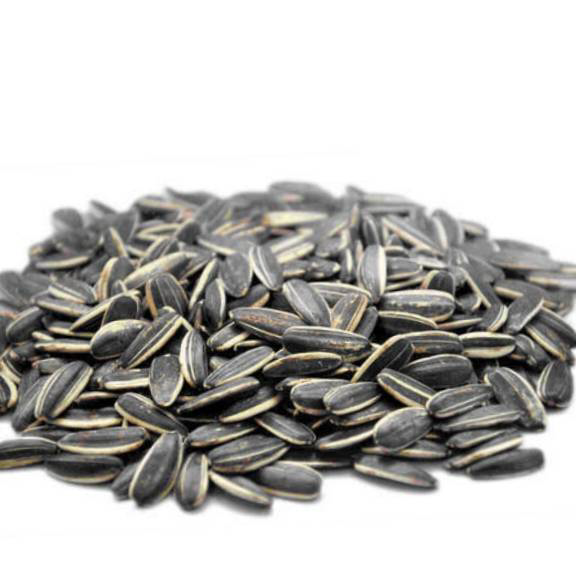 

Produk Kuaci Biji Bunga Matahari 500GRAM - Sunflower Seed - kwaci matang - kuaci Rasa Original
