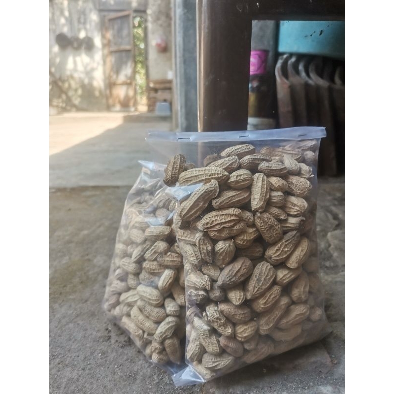 

Kacang bendo kacang goreng kacang kulit sangrai 250 gram