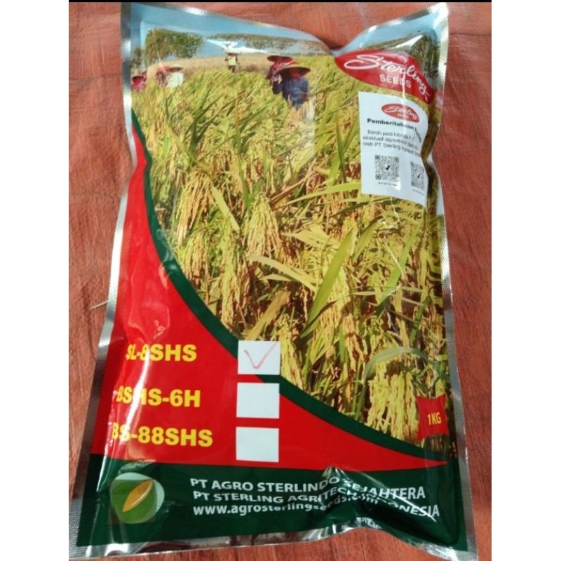 PADI HIBRIDA SL 8 SHS 1 KG