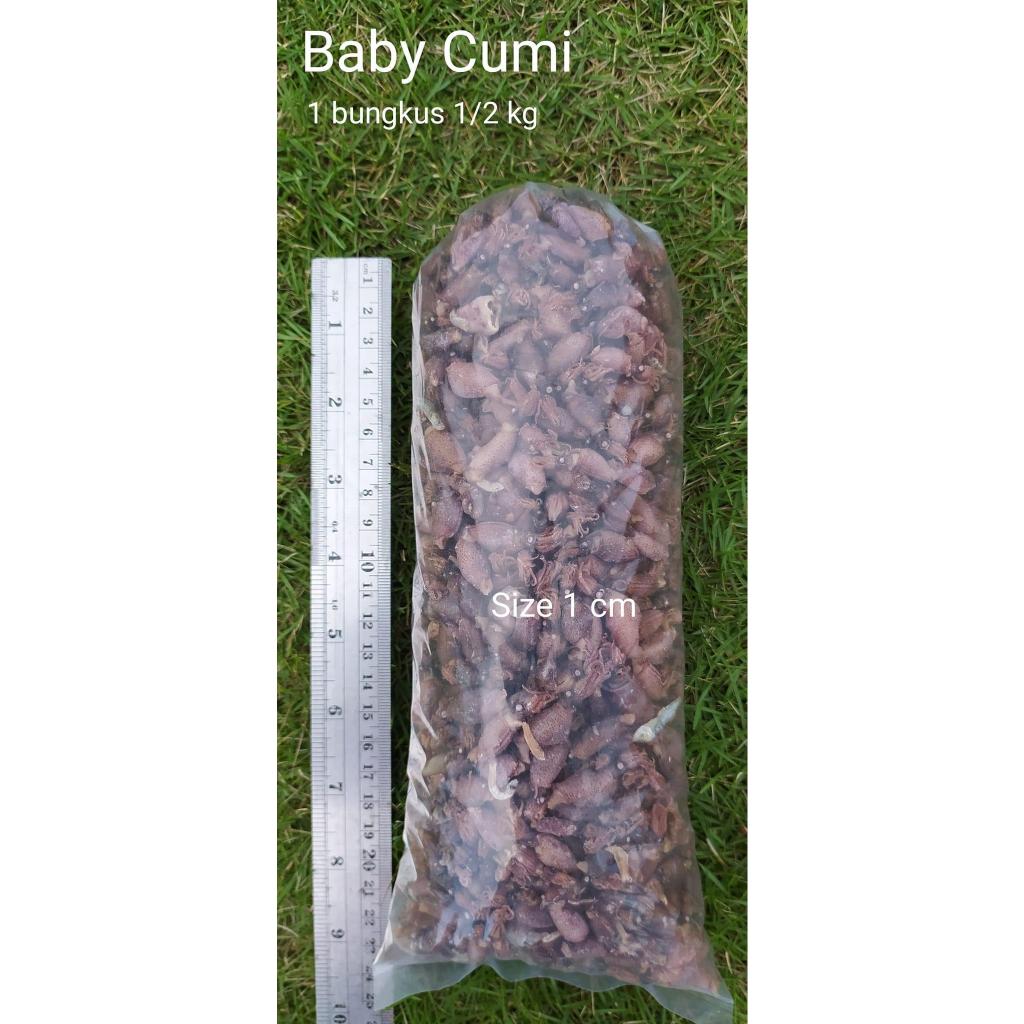 

Baby Cumi Asin ukuran 1 cm berat 500 gram