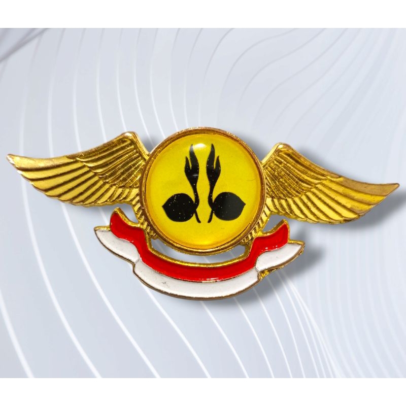 pin dewan penegak pramuka peniti - pin wing dewan penegak