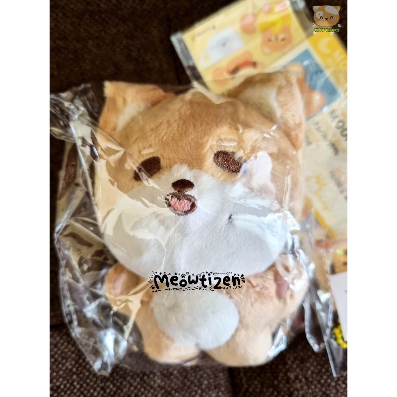 pelunasan doll taeil