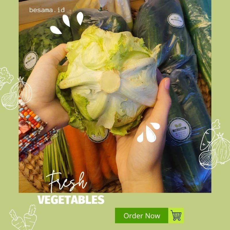 

Lettuce Lokal Segar 500gr