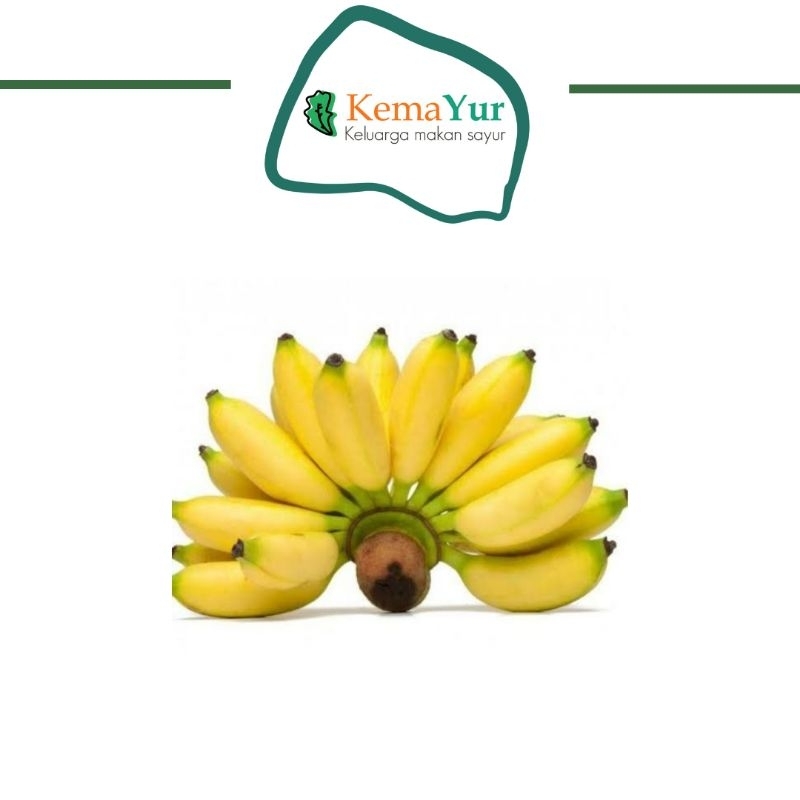 PISANG ULIN CENGKEH