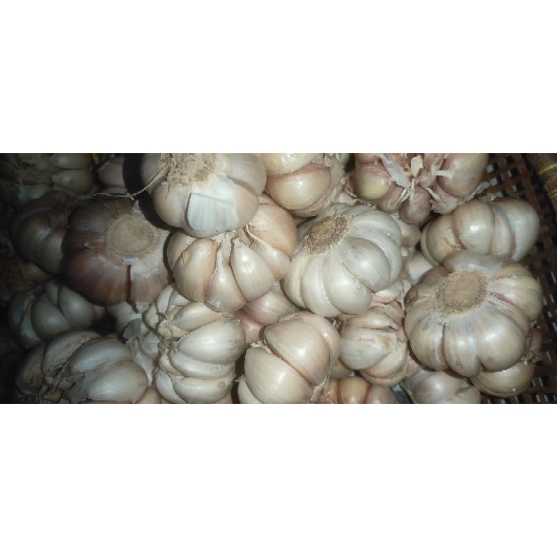

bawang putih bersih 500gr