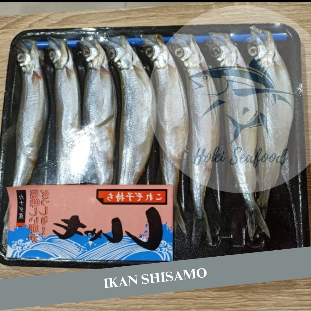 

Ikan Shisamo - Shisamo Fish - Ikan Capelin - Besar DAN Telur - Import