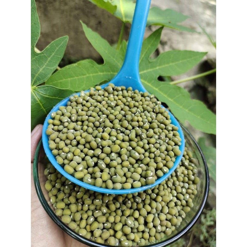 

Kacang Hijau ijo Organik Kualitas Super 1 kg