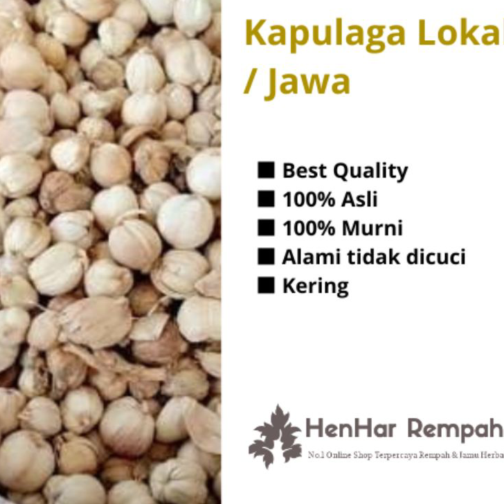 

Produk Kapulaga Lokal Kapulaga Jawa kering 50 gr & 100 gr