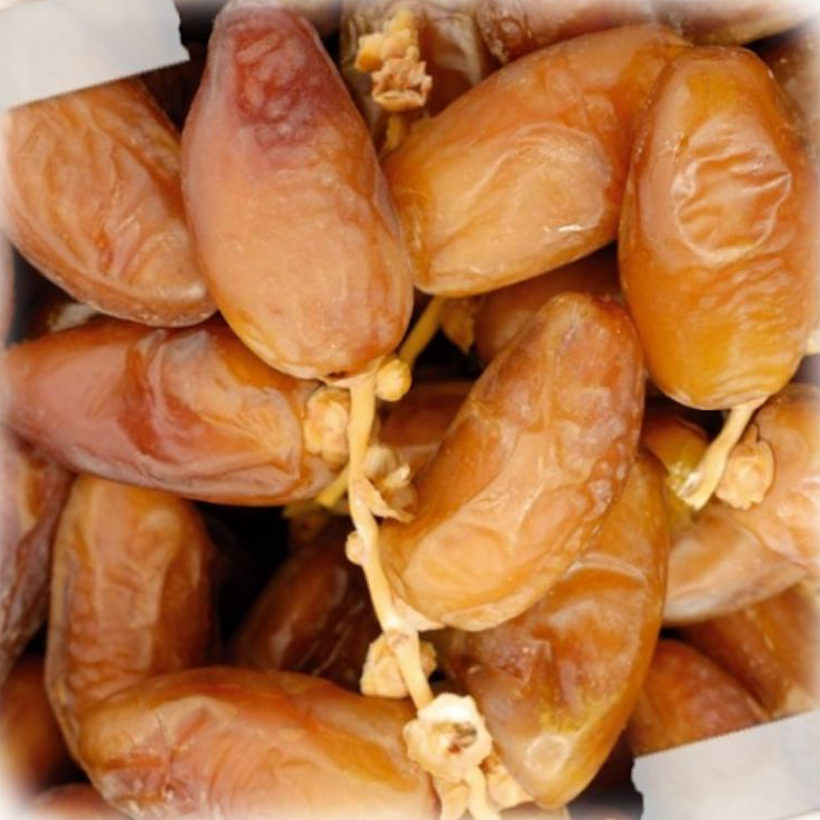 

➞✧✴ Kurma Tunisia Tangkai 1kg//kurma tunisia tangkai fress Seller