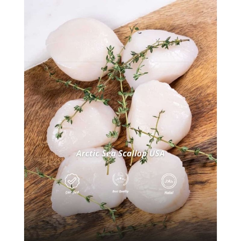 

Arctic Sea Scallop USA
