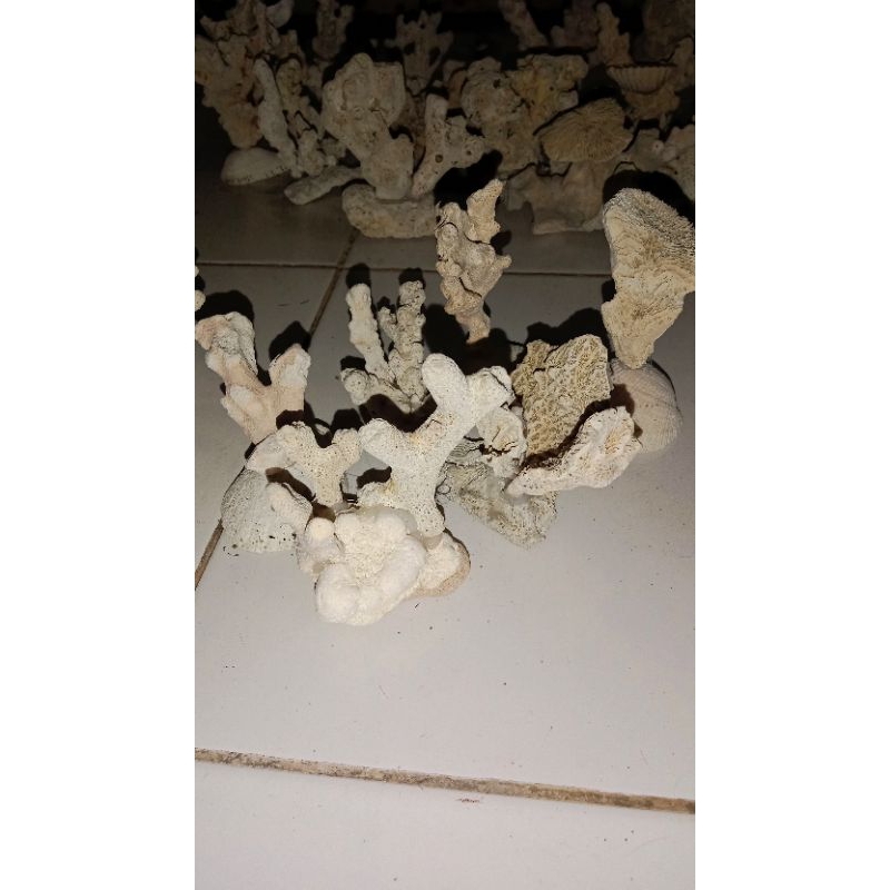 Batu karang Hiasan aquarium aquascape rumah ikan terumbu karang rangkai