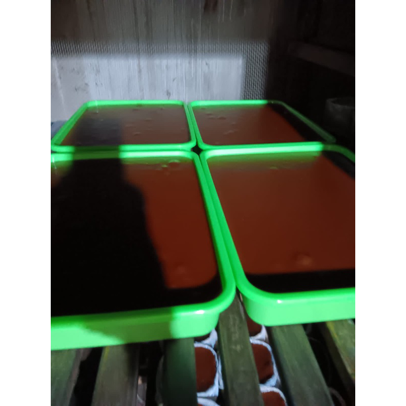 

Jenang jawa/jenang manten/jenang ketan kemasan nampan kemasan 2 kg