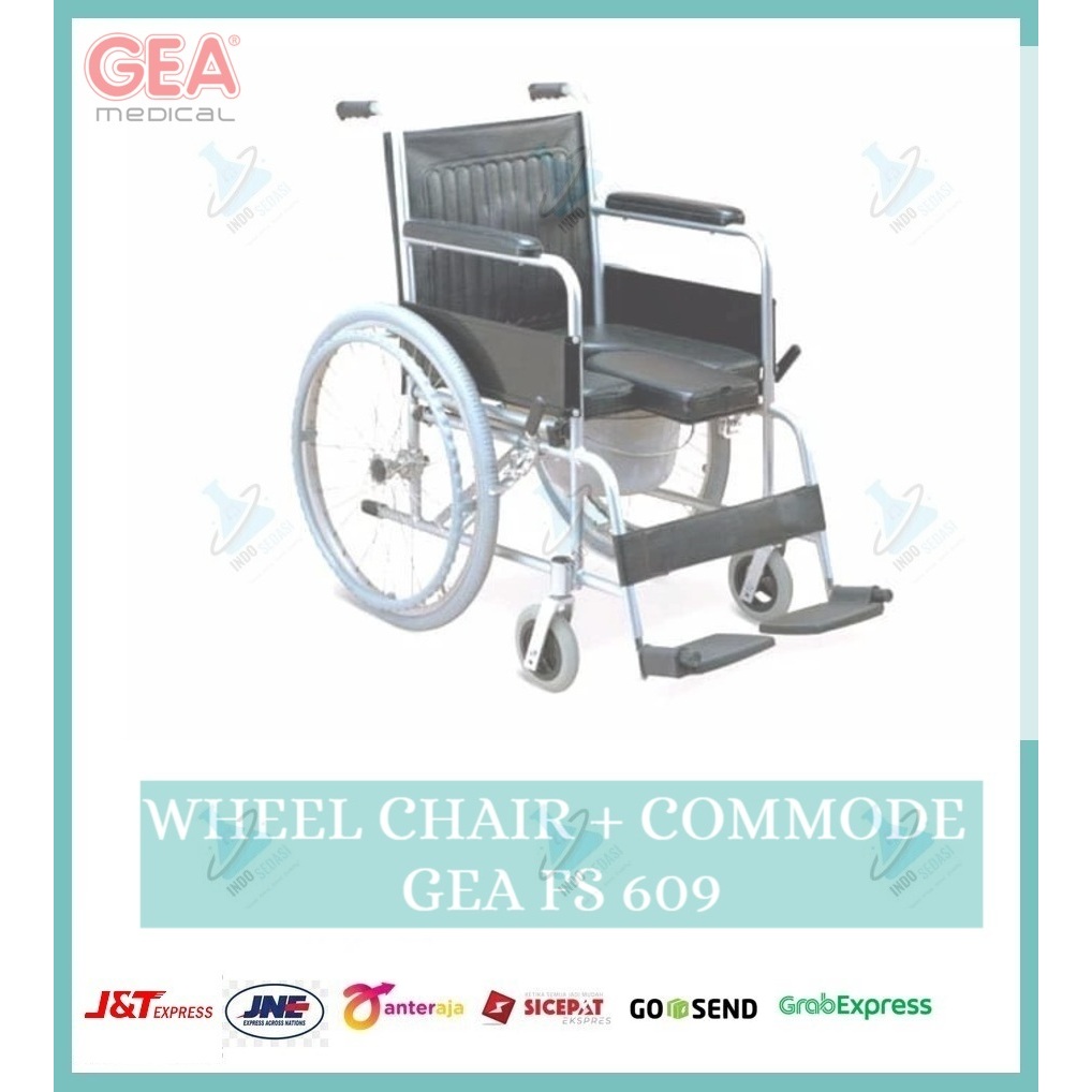 Kursi Roda GEA FS 609 - Kursi Roda Wheelchair 2in1