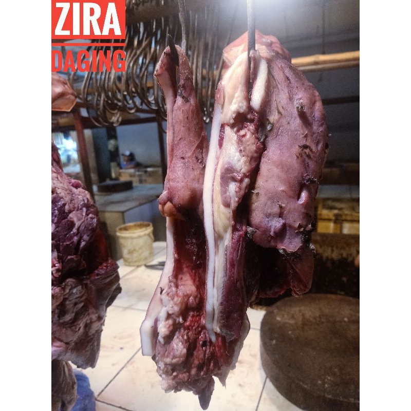 

Daging kepala sapi ( lokal ) Bahan soto / 1 kg