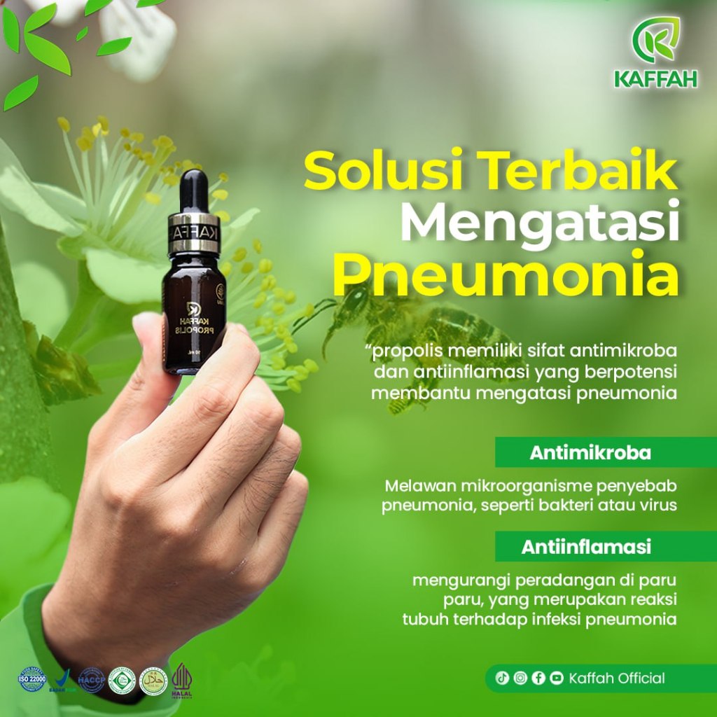 Herbal Pneumonia Kaffah Propolis