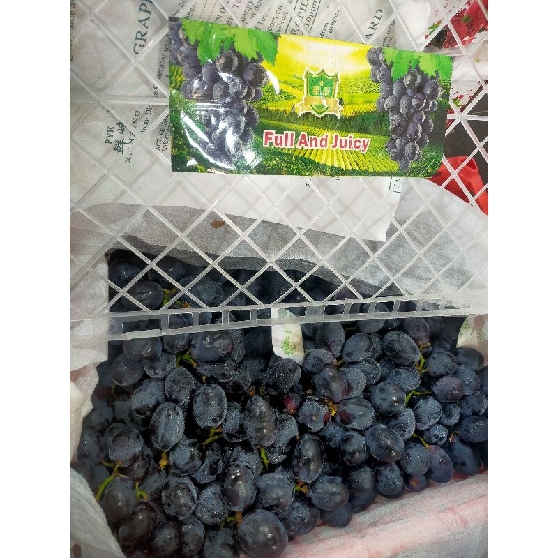 

anggur hitam autumn Royal Rrrc manis terkadang ada biji