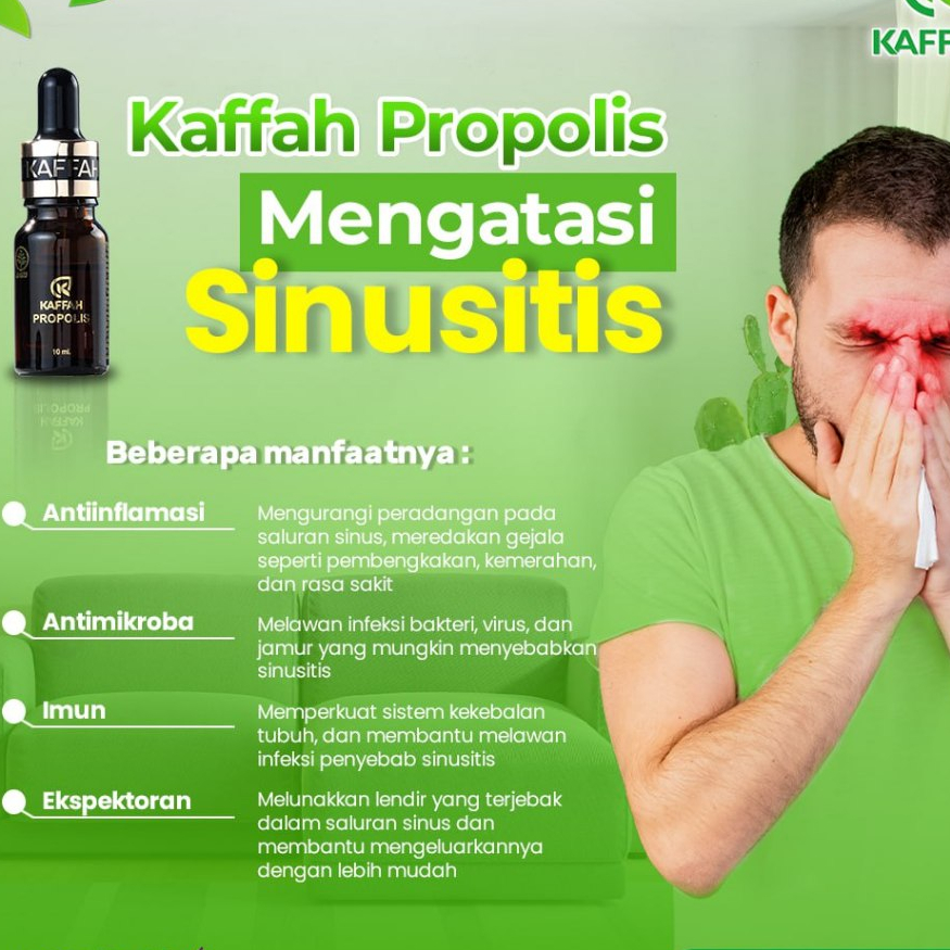 Herbal Sinusitis Kaffah Propolis 10 ml Mengatasi Sinusitis